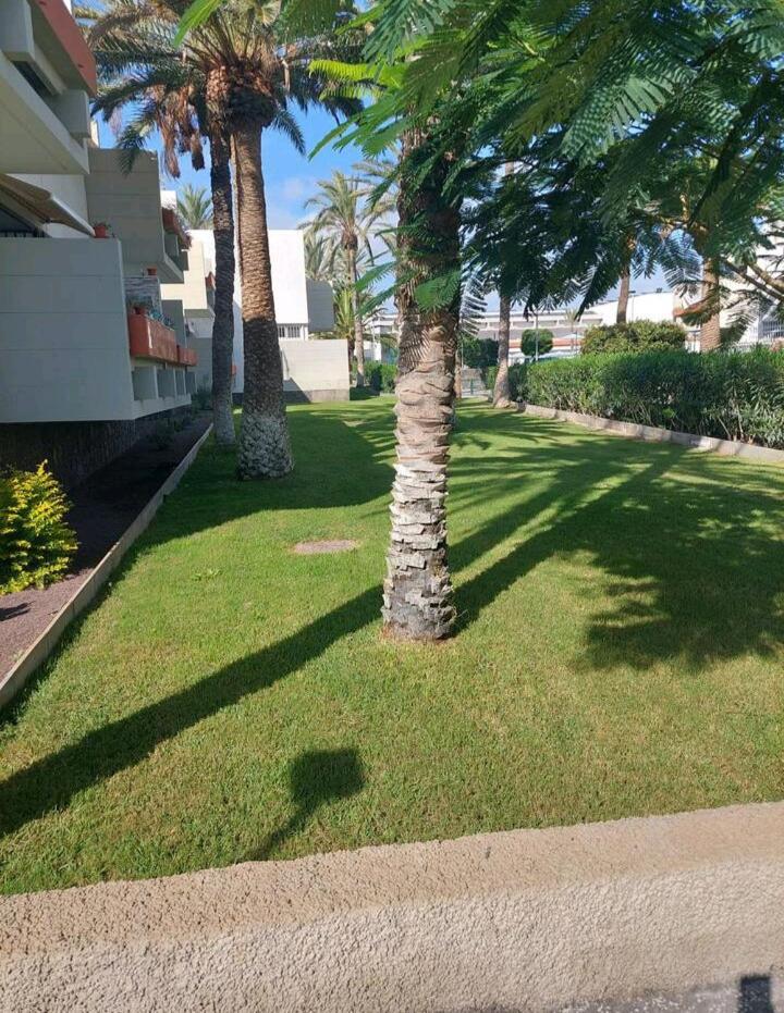 Orita Apartment Las Galletas Exterior foto